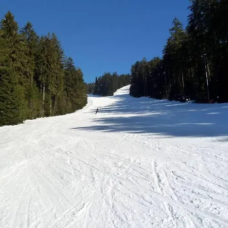 Im Bayerischen Wald