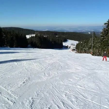 Apartmán Im Bayerischen Wald Sankt Englmar